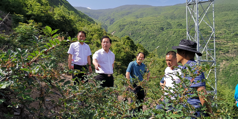 DE88F8C647DDBDD57C0F52942DF0616A_副本 DE88F8C647DDBDD57C0F52942DF0616A_副本