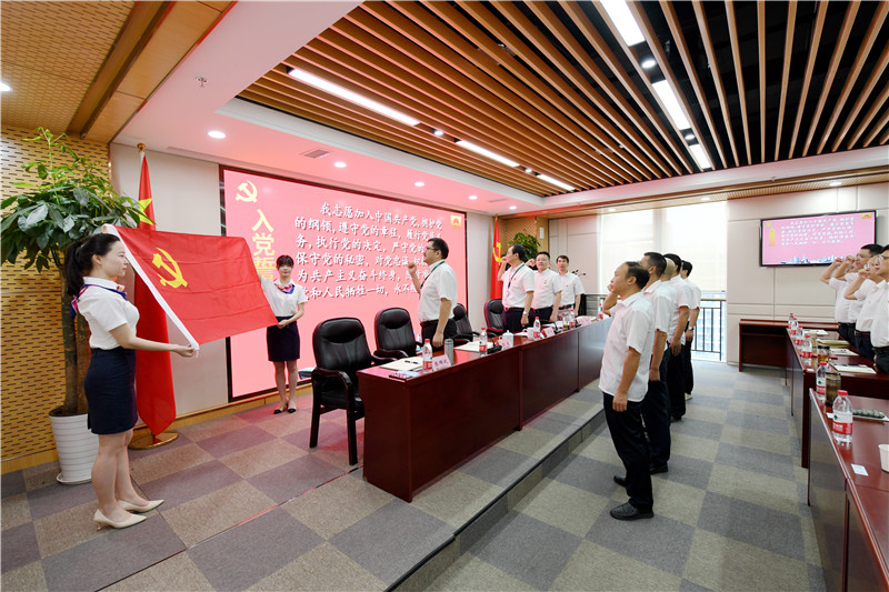 向黨旗宣誓 向黨旗宣誓